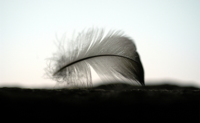 57.©Fotograf Magnus Aronson